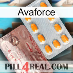 Avaforce new13